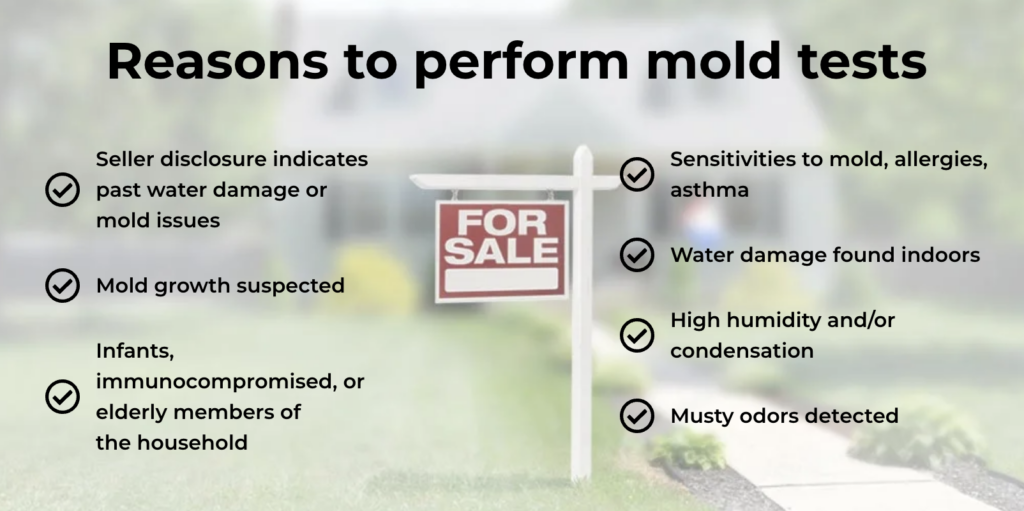 When to consider a mold test?

The seller discloses past water damage or mold issues.

Mold growth is suspected but not necessarily visible.

Water damage is found during your inspection.

Elevated humidity/condensation is noticed in the home.

Musty odors are detected during your inspection.

You may also consider mold testing based on your situation: 

If you have small children, health issues, or are elderly.

If you are sensitive to mold and/or have allergies or asthma.